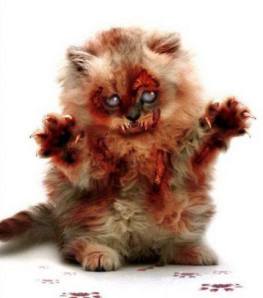 Zombie Kitten  from Texas Toyz,  Corpus Christi, TX