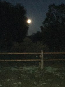 Moon over Aztec, NM Photo by Phil Slattery 2015