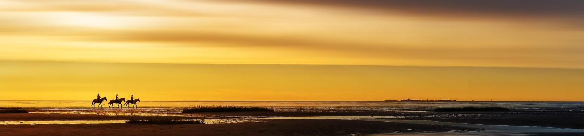 Phil Slattery, Writer, Publisher