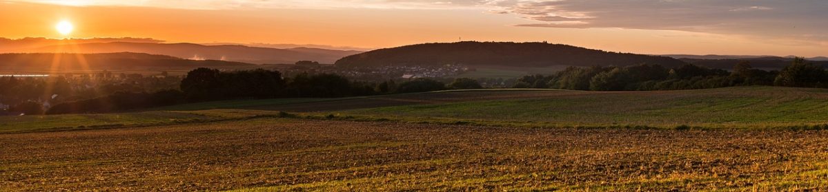 Phil Slattery, Writer, Publisher